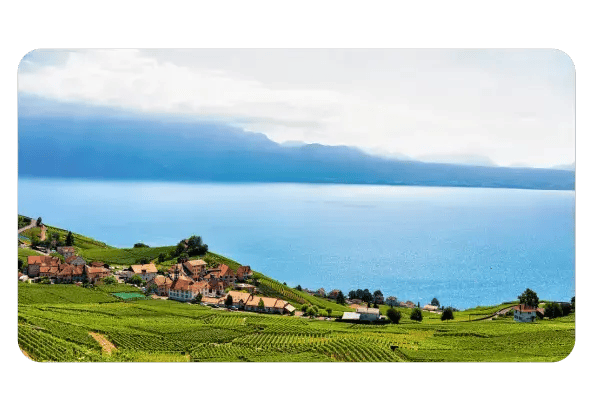 vignes-suisses